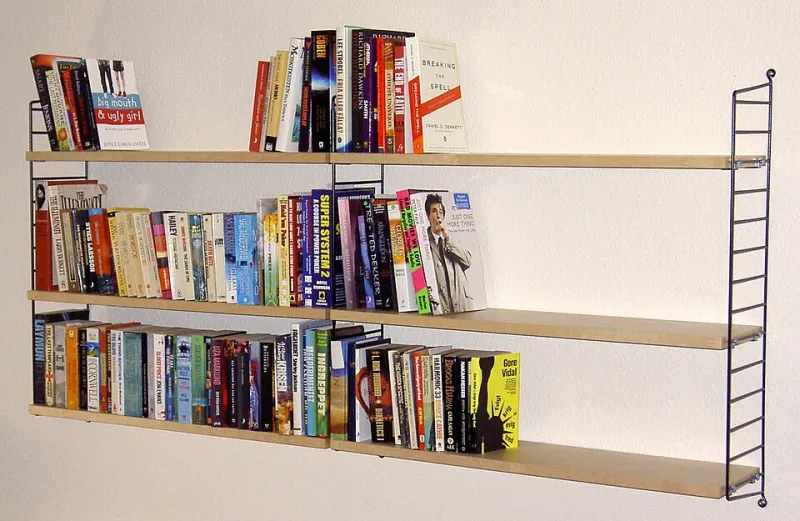 Ten Lists, One Bookshelf: Who's Really Deciding What America Reads?